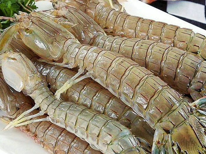 Line back mantis shrimp (Xia Gu)